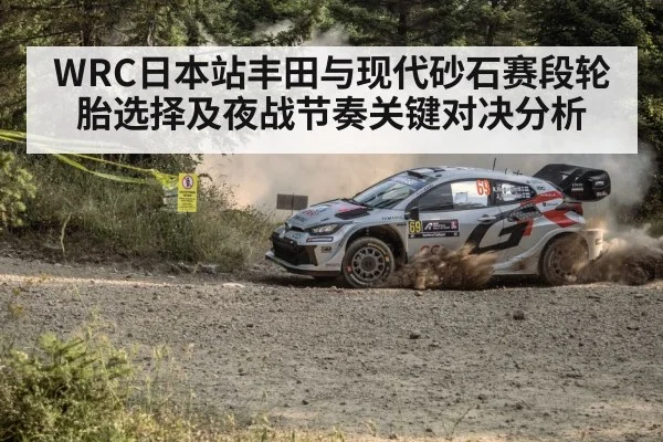 rally car gravel stage night